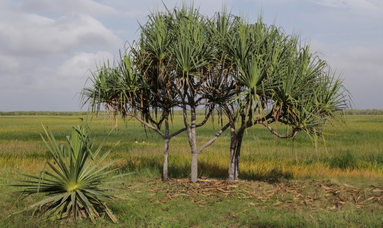 IMG_7092_edited_lowres