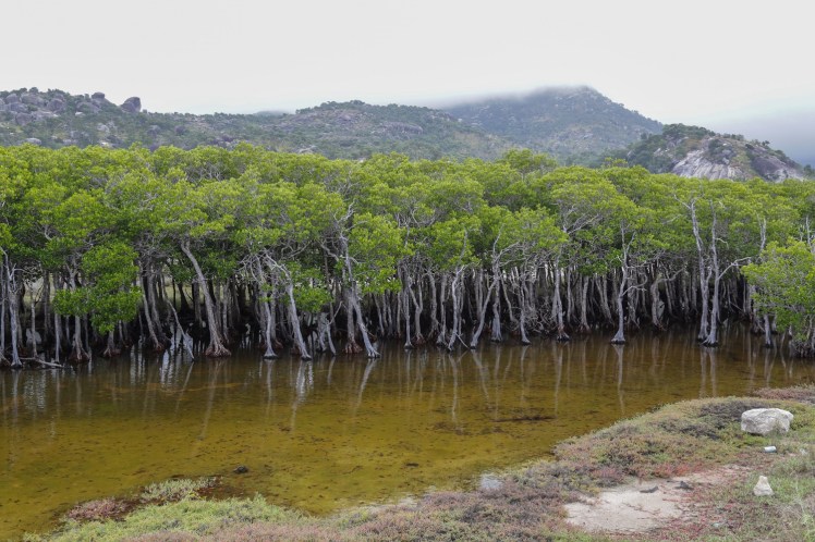 IMG_7117_edited_lowres