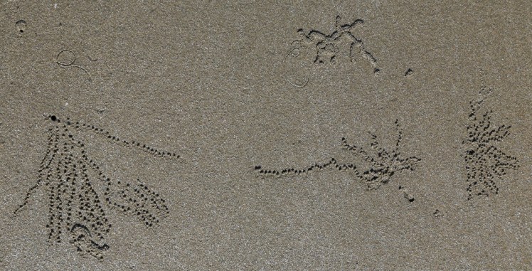 IMG_7224_edited_lowres