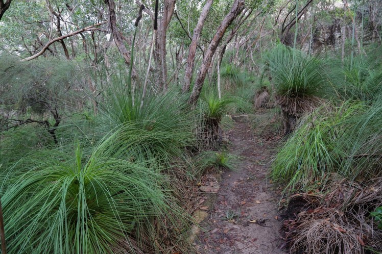 IMG_7345_edited_lowres