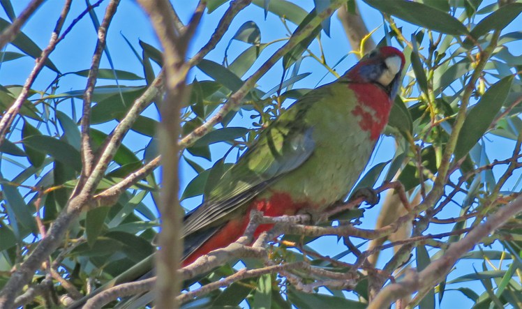 6-39